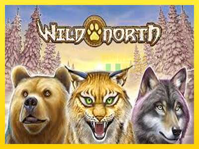 Ойын машинасы Wild North