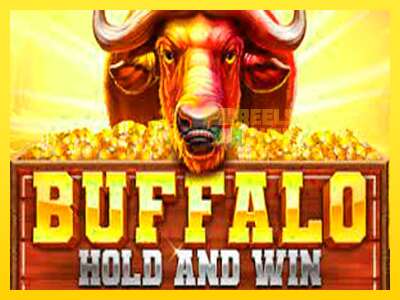 Ойын машинасы Buffalo Hold and Win Extreme