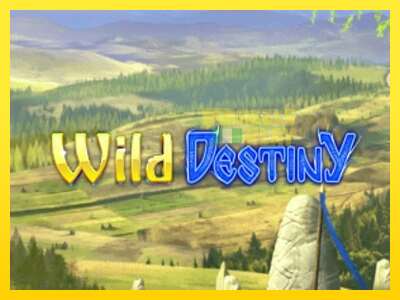 Ойын машинасы Wild Destiny