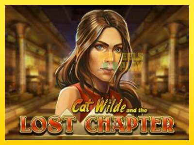 Ойын машинасы Cat Wilde and the Lost Chapter