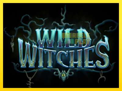 Ойын машинасы Wild Witches