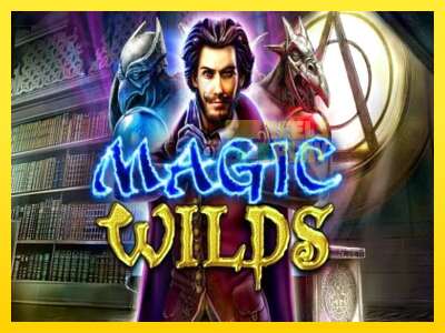 Ойын машинасы Magic Wilds