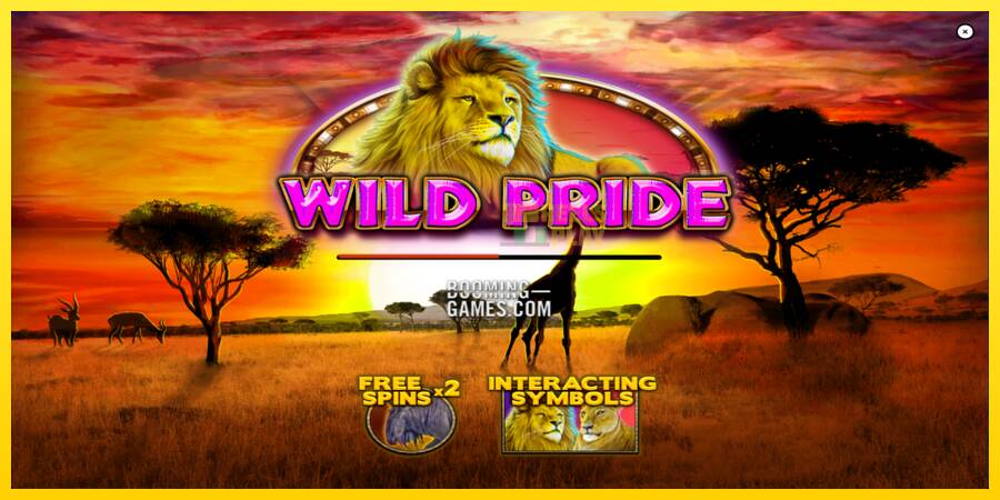 Сурет 1 ойын машинасы Wild Pride