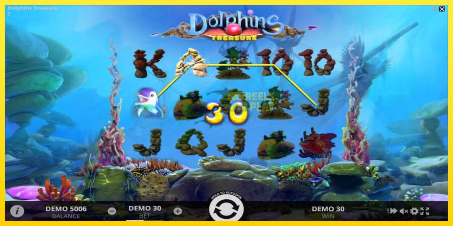 Сурет 3 ойын машинасы Dolphins Treasure