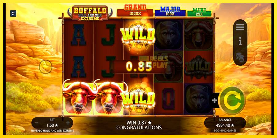 Сурет 6 ойын машинасы Buffalo Hold and Win Extreme