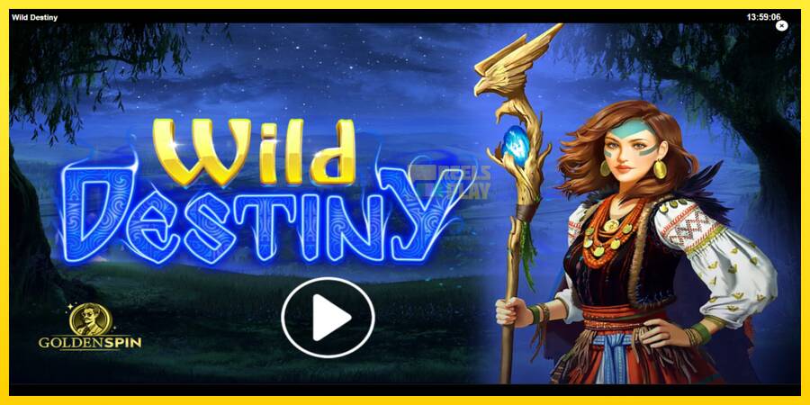 Сурет 1 ойын машинасы Wild Destiny