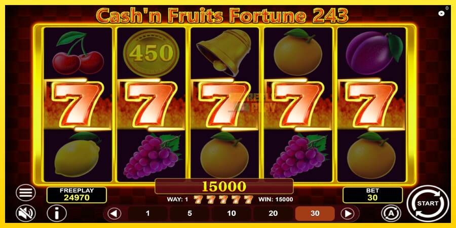 Сурет 4 ойын машинасы Cashn Fruits Fortune 243