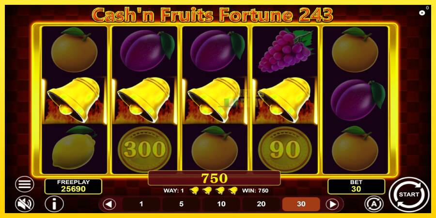 Сурет 5 ойын машинасы Cashn Fruits Fortune 243