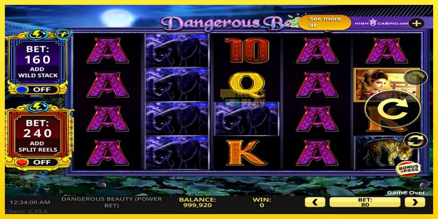 Сурет 2 ойын машинасы Dangerous Beauty Power Bet