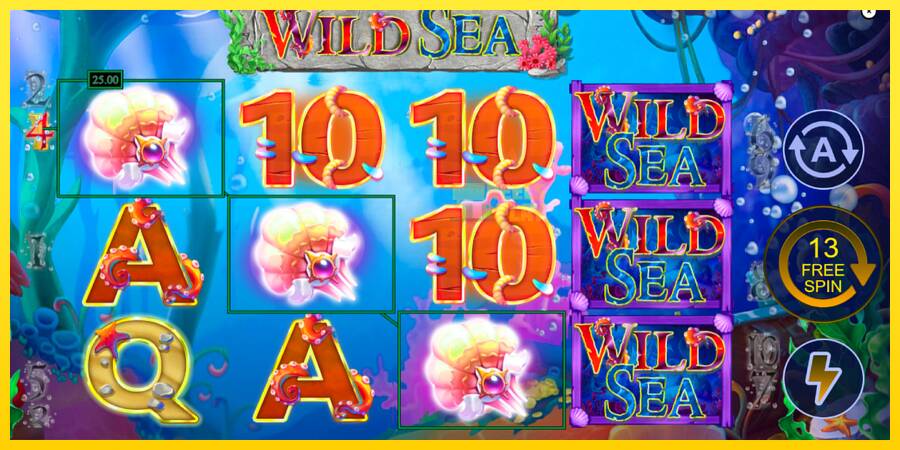 Сурет 3 ойын машинасы Wild Sea