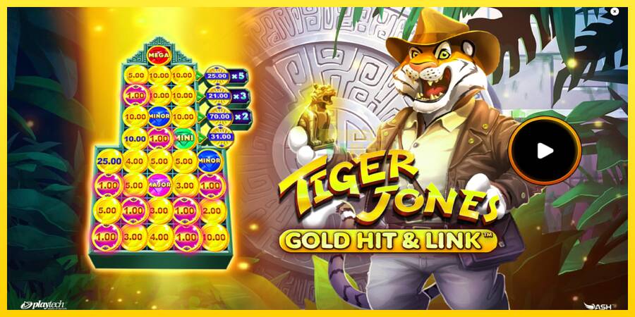 Сурет 1 ойын машинасы Gold Hit & Link: Tiger Jones