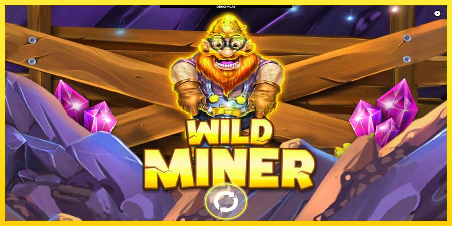 Сурет 1 ойын машинасы Wild Miner