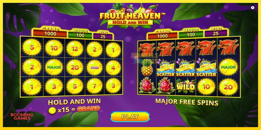 Сурет 1 ойын машинасы Fruit Heaven Hold and Win