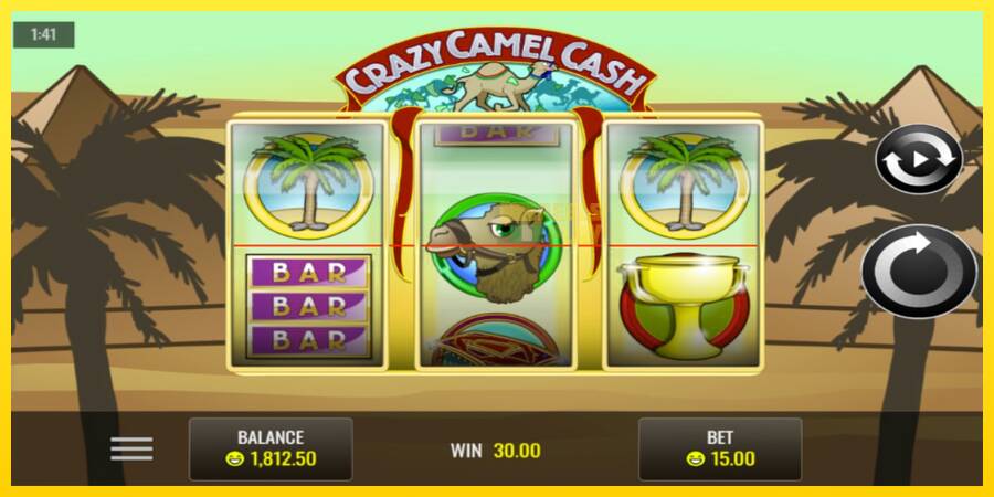 Сурет 3 ойын машинасы Crazy Camel Cash