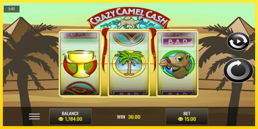 Сурет 4 ойын машинасы Crazy Camel Cash